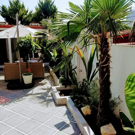 Guest house Only One & *